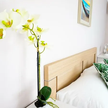 Aurelia - Modern Seafront Studio Apartament *