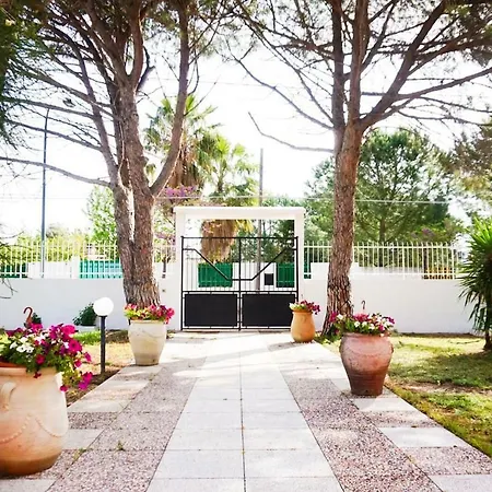 Aurelia - Modern Seafront Studio 公寓